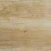Desert oak